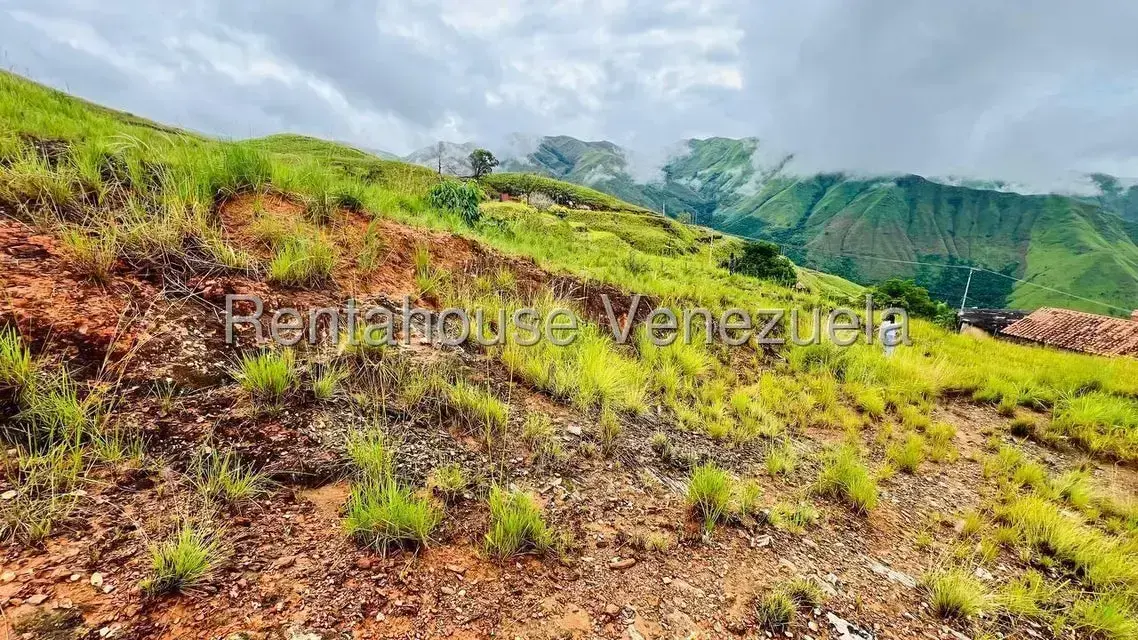 Terreno (Finca) en Venta en La Colonia Tovar, Aragua - 18