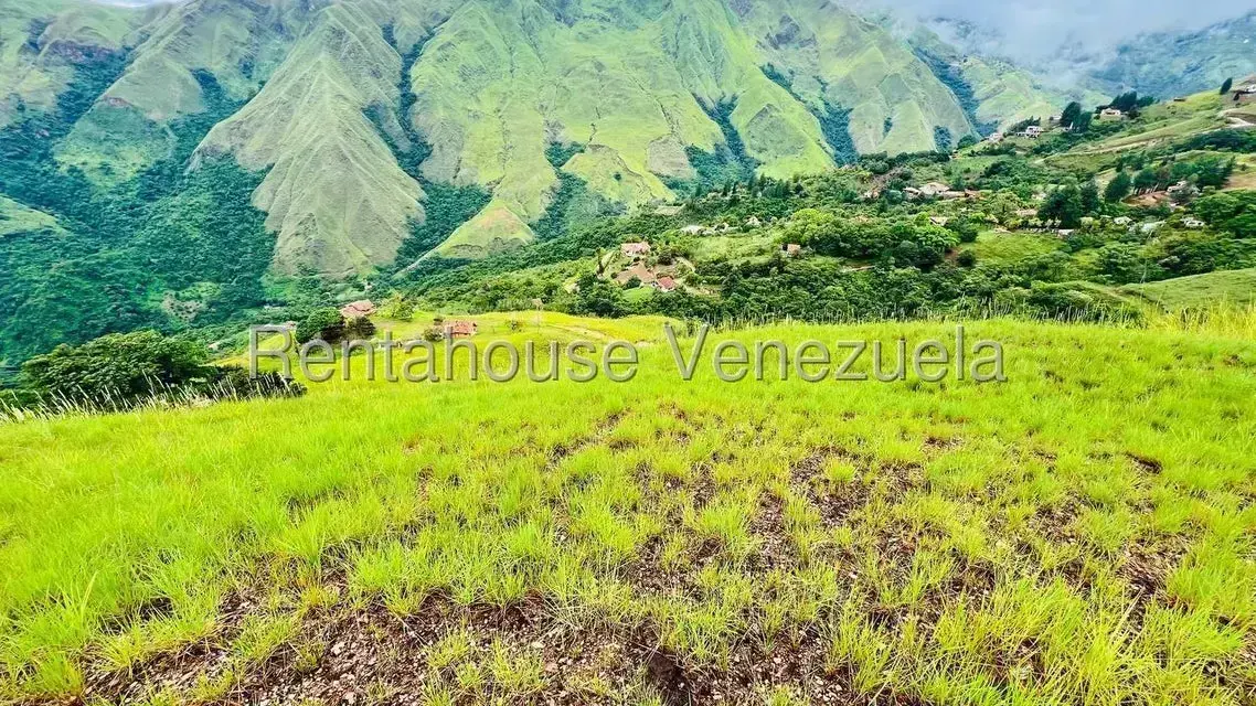 Terreno (Finca) en Venta en La Colonia Tovar, Aragua - 19