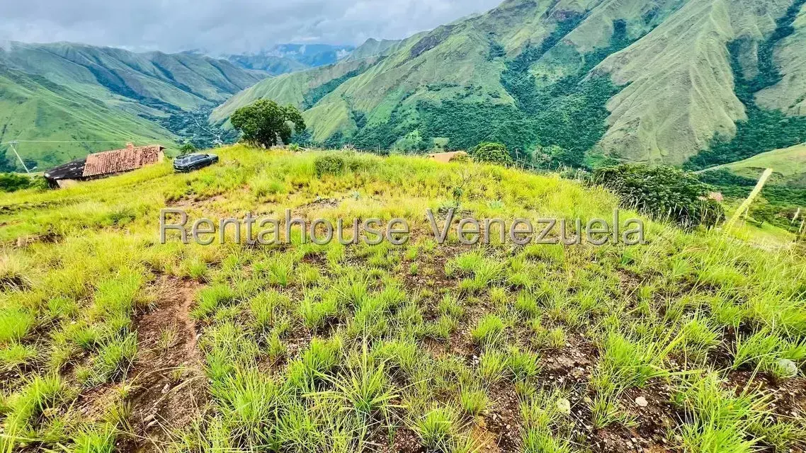 Terreno (Finca) en Venta en La Colonia Tovar, Aragua - 20