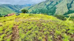 Vista 20