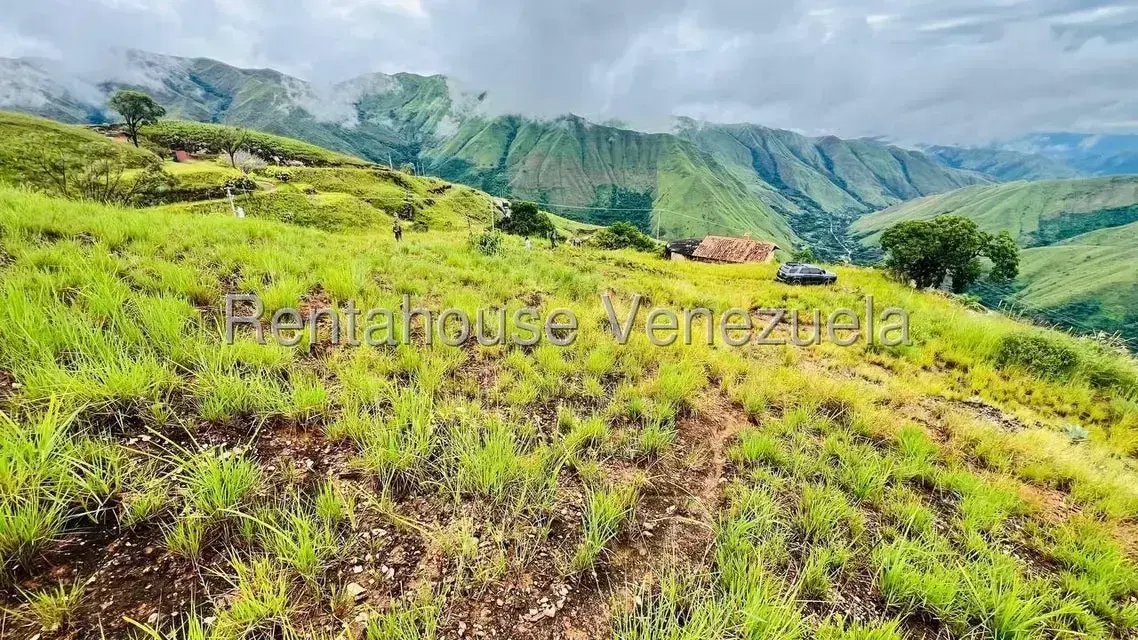 Terreno (Finca) en Venta en La Colonia Tovar, Aragua - 21