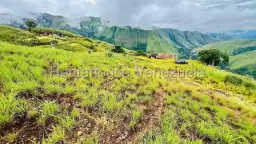 Vista 21