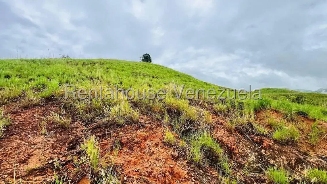 Terreno (Finca) en Venta en La Colonia Tovar, Aragua - 22