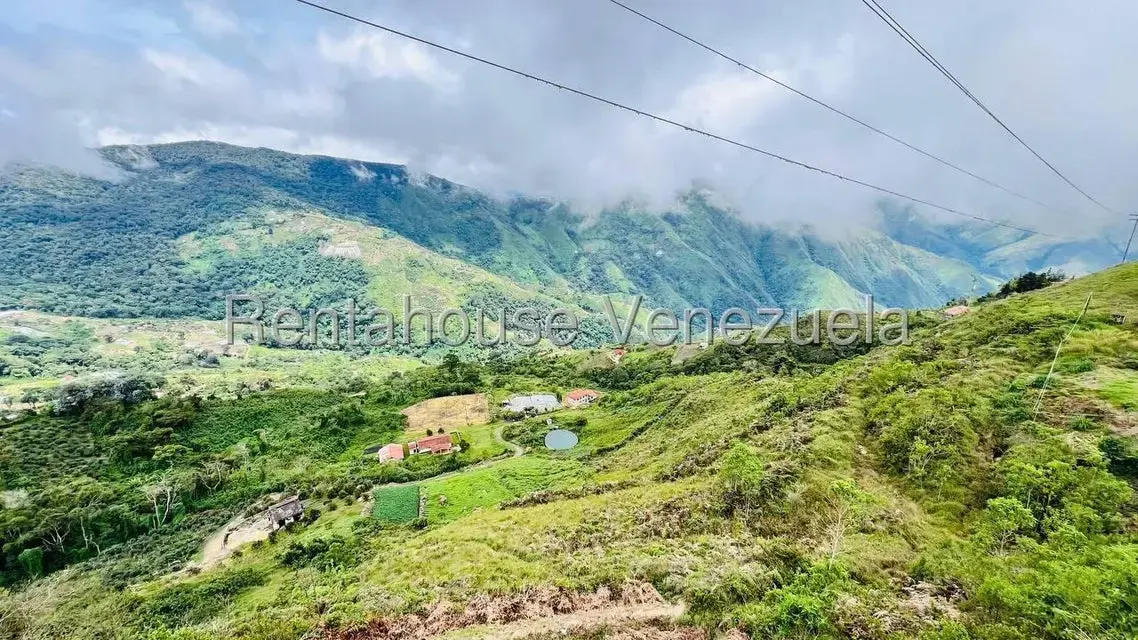 Terreno (Finca) en Venta en La Colonia Tovar, Aragua - 23