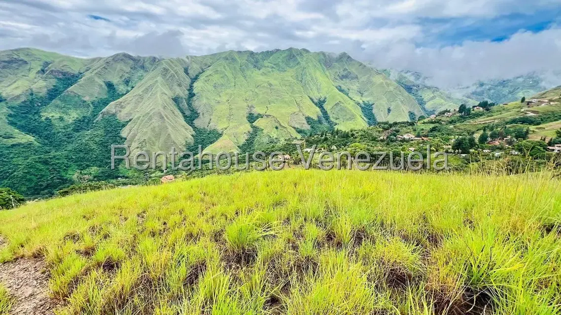 Terreno (Finca) en Venta en La Colonia Tovar, Aragua - 27