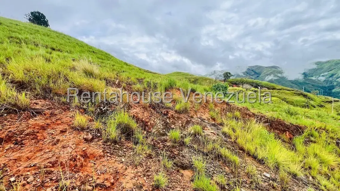 Terreno (Finca) en Venta en La Colonia Tovar, Aragua - 28