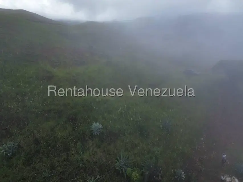 Terreno (Finca) en Venta en La Colonia Tovar, Aragua - 29