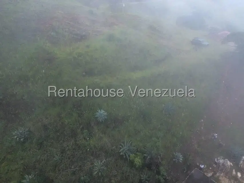 Terreno (Finca) en Venta en La Colonia Tovar, Aragua - 30