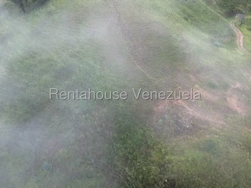 Terreno (Finca) en Venta en La Colonia Tovar, Aragua - 7