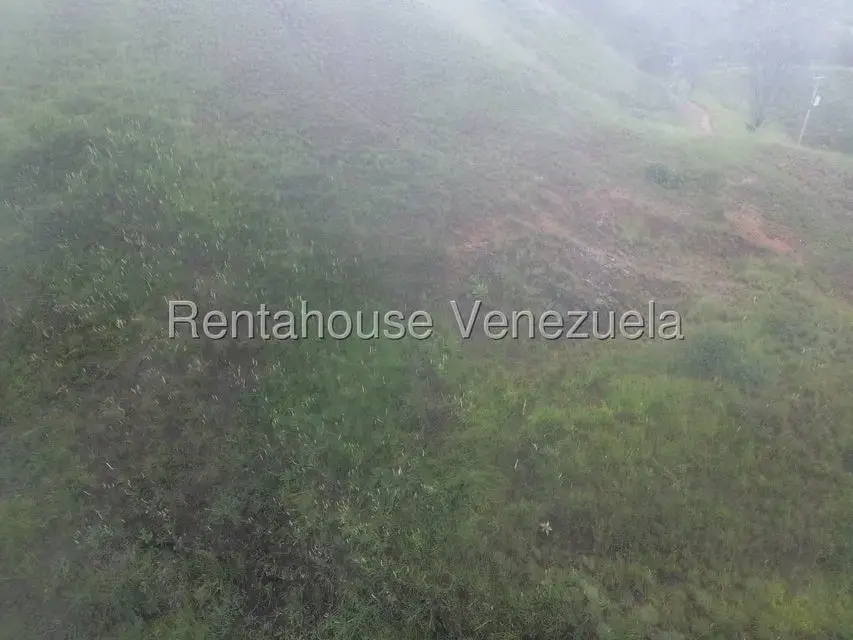 Terreno (Finca) en Venta en La Colonia Tovar, Aragua - 8