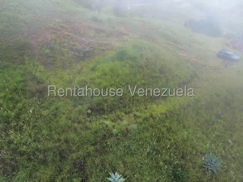 Terreno (Finca) en Venta en La Colonia Tovar, Aragua - 9