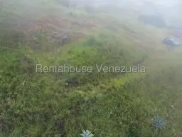 Vista 9