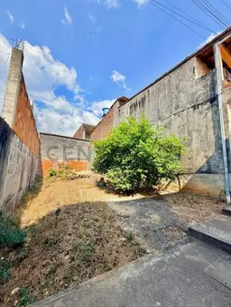 Vista 5