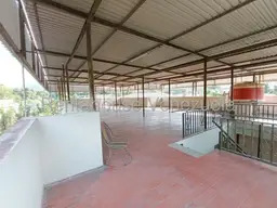 Vista 25