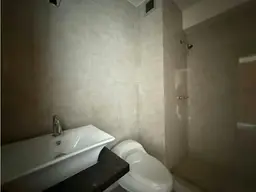 Vista 12
