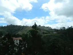 View 30