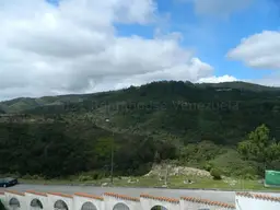View 31