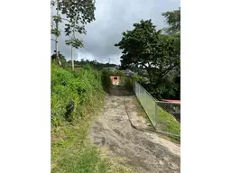 View 11