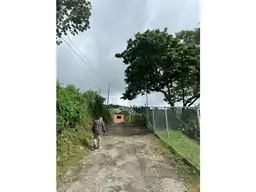 View 14