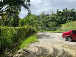 View 7
