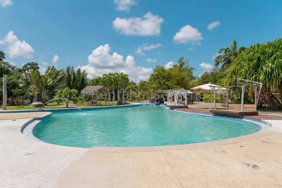Comercial (Local Comercial) en Venta en El Guapo, Miranda - 13
