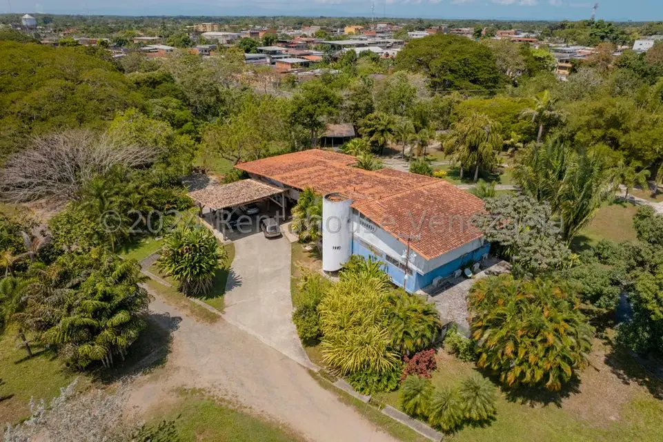 Comercial (Local Comercial) en Venta en El Guapo, Miranda - 9