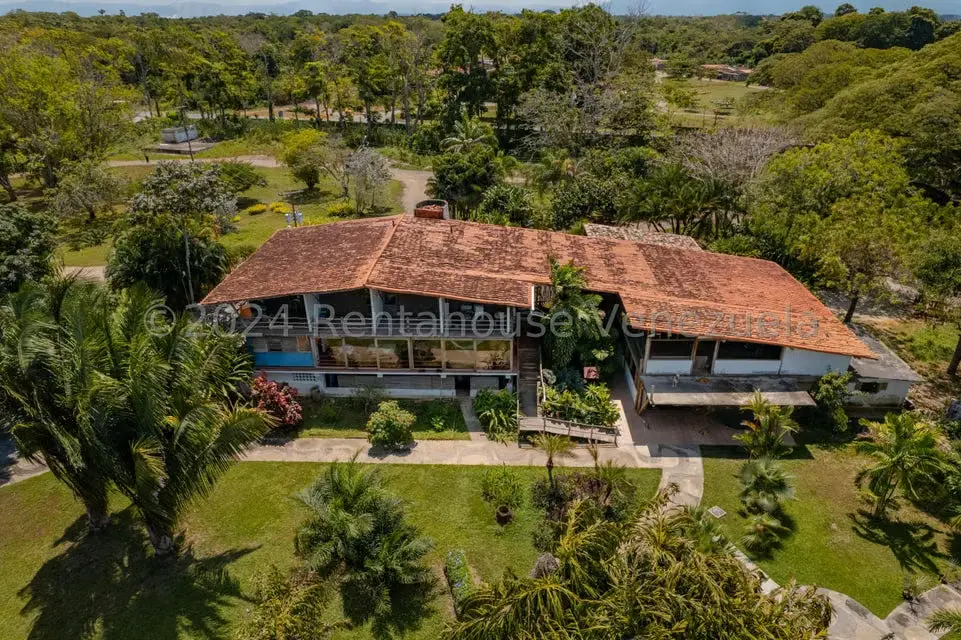Comercial (Local Comercial) en Venta en El Guapo, Miranda - 10