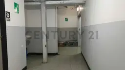 Vista 15