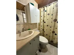 Vista 14