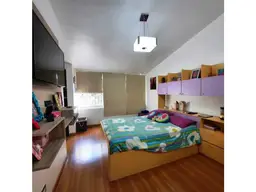 Vista 19