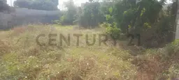 Vista 11