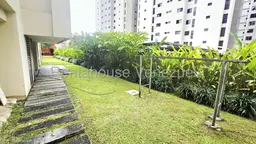 View 38
