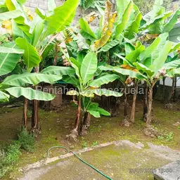 View 25