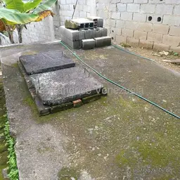 View 29