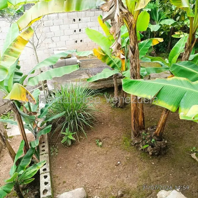Local Comercial en Venta en Municipio Carrizal, Miranda - 30