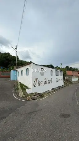 Vista 1
