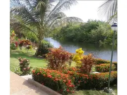 Vista 7