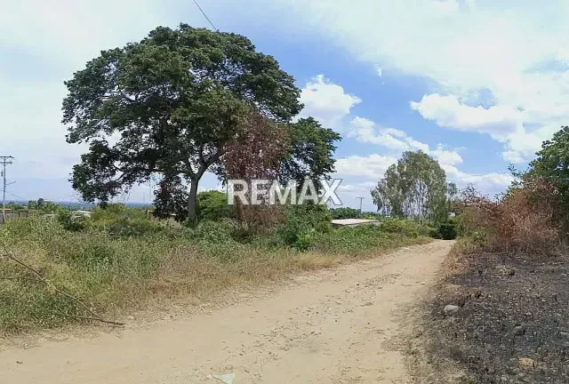 Amplio Lote de terreno en venta en el sector El Paramito de Sabana de Mendoza