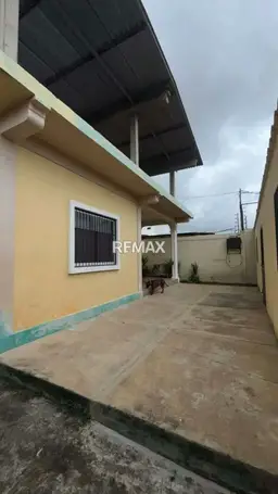 Vista 19
