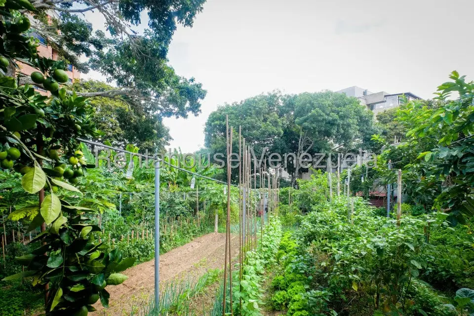 Terreno (Residencial) en Venta en La Tahona, Distrito Metropolitano - 4