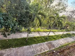 Vista 15