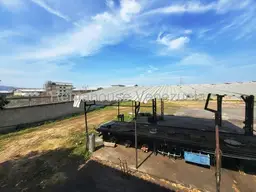 Vista 39