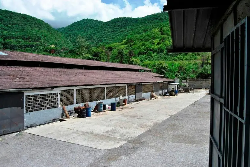 Comercial (Galpon - Deposito) en Alquiler en Mampote, Miranda