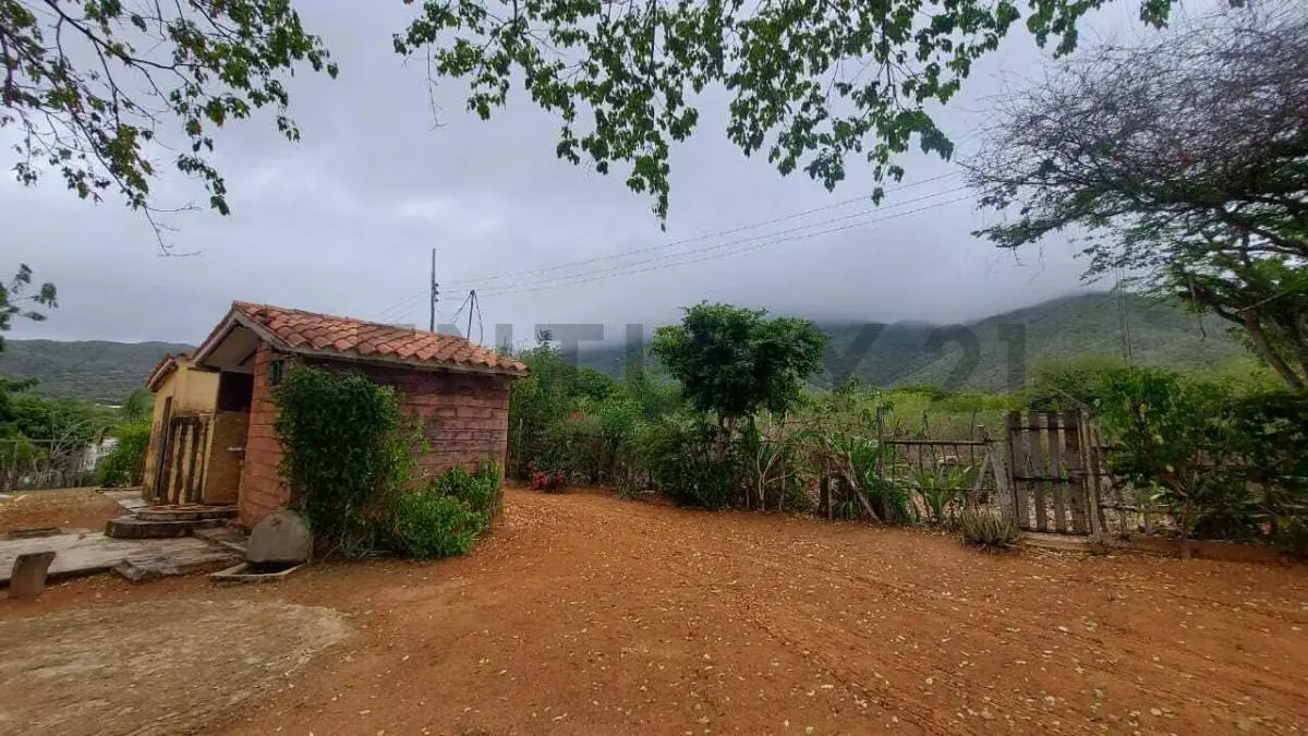 Terreno Agrícola con Casa ARICAGUA MARGARITA - 11