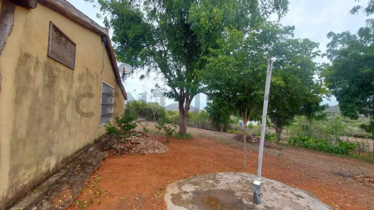 Terreno Agrícola con Casa ARICAGUA MARGARITA - 13