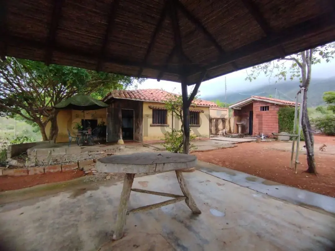 Terreno Agrícola con Casa ARICAGUA MARGARITA - 15