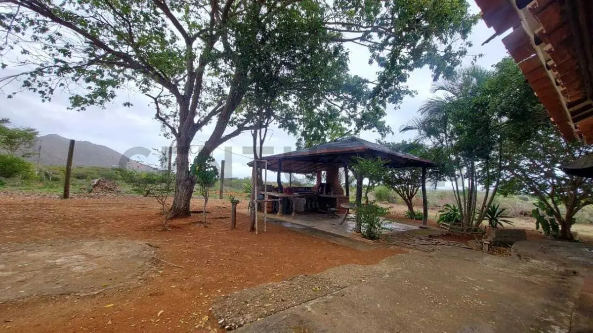 Terreno Agrícola con Casa ARICAGUA MARGARITA - 20