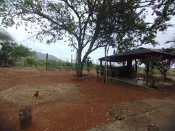 View 21