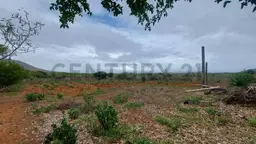 View 28