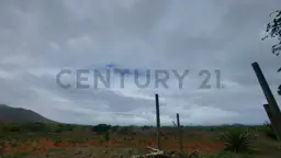 View 30